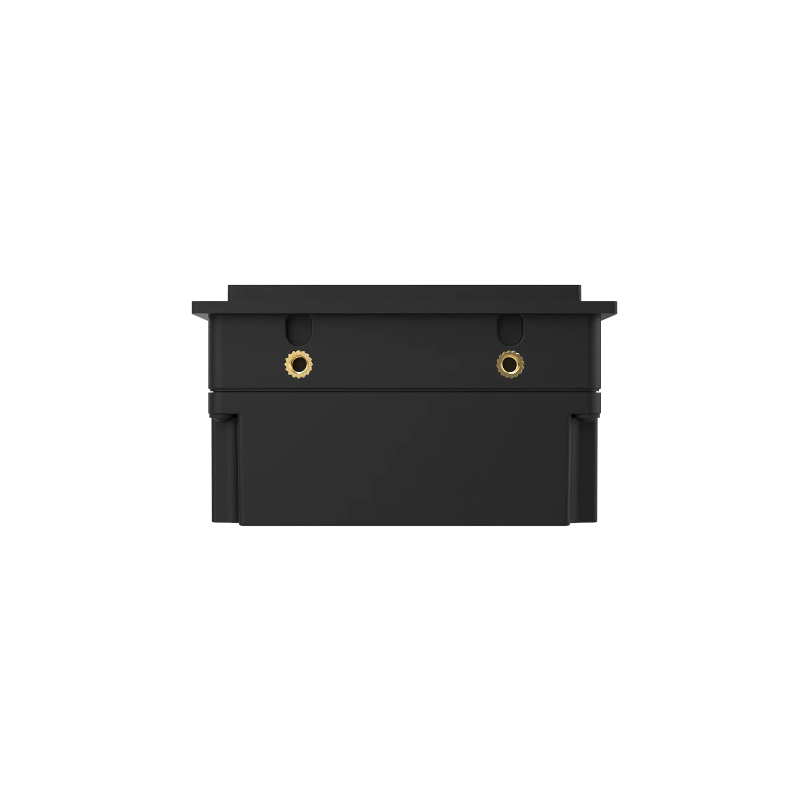 P-250 vista posteriore